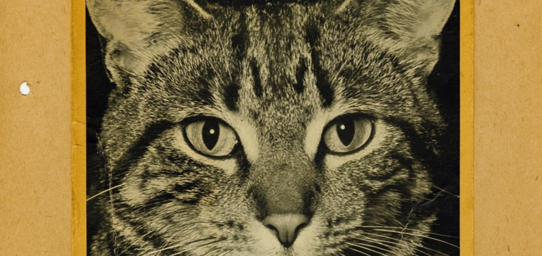 Uncaptioned photographic print.