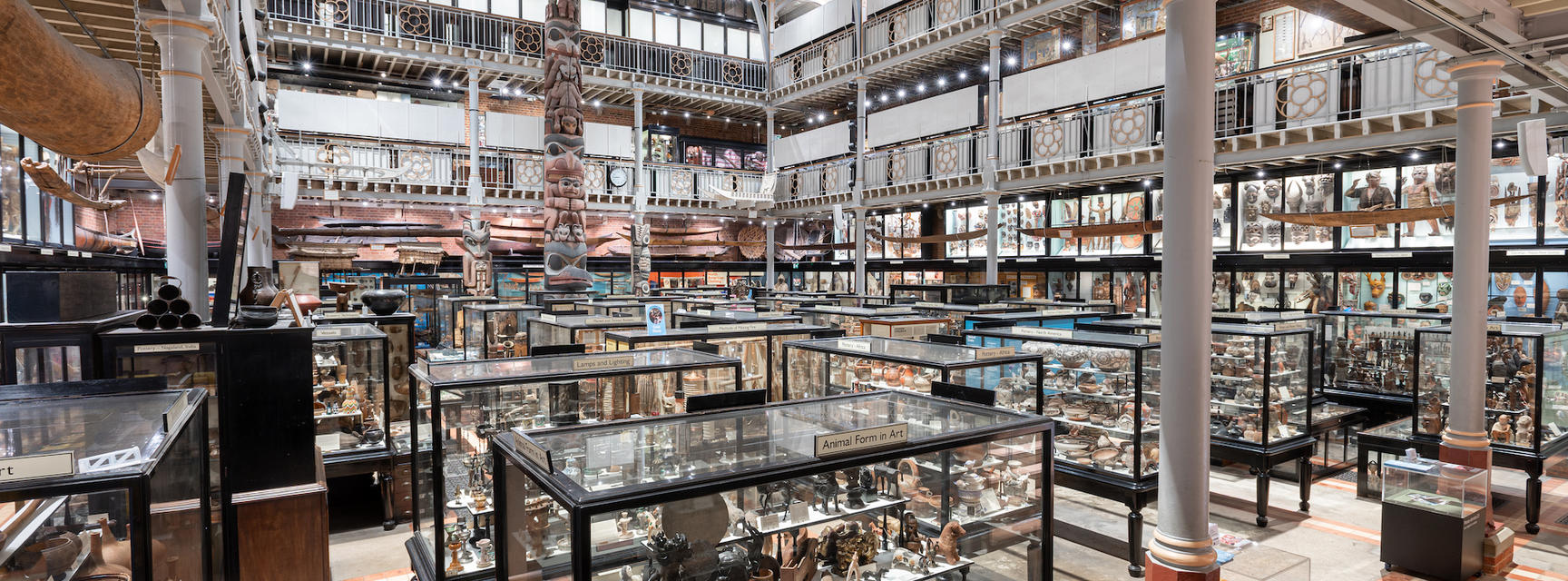 pitt rivers 18 5 22 1 copy