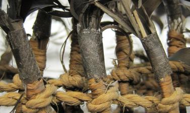 Detail of feather bundles in cloak (1886.1.1637.4)