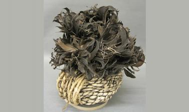 Headdress (1886.1.1637.6) after conservation