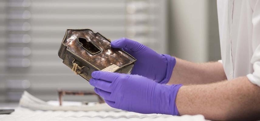 Staff member handling a small object
